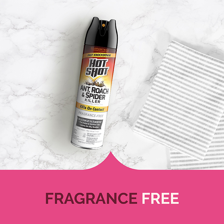 HG-96780 Ant, Roach & Spider Killer Fragrance-Free 17.5 oz Fragrance Free